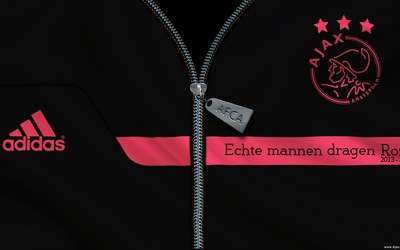 正大体育精华-三笘薰让主场沸腾